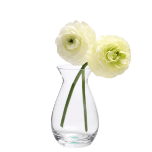 George Glass Clear Bud Vase For Flowers