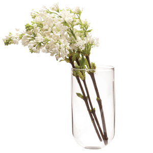 Wall Cup Glass Modern Clear Flower Vase