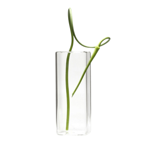 Cube Glass Modern Clear Flower Vase