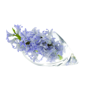 Lot Glass Modern Clear Flower Vase