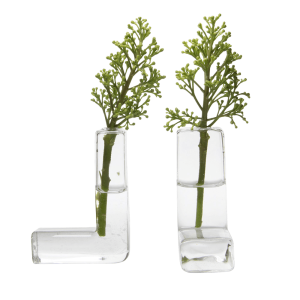 The L Glass Modern Clear Flower Vase