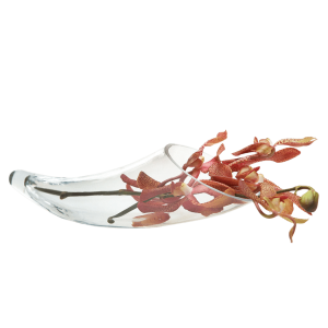 Horn Glass Modern Clear Flower Vase