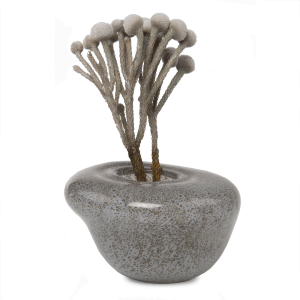 Nova Glass Flower Vase