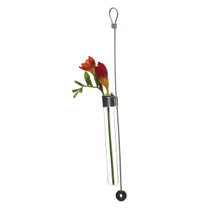 Hanging Airplane Cable & Glass Flower Vase