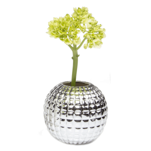 Tac Porcelain Flower Vase