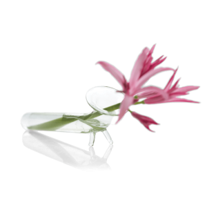 Test Tube Glass Bud Vases
