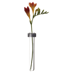 Alu Magnetic Flower Test Tube Holder