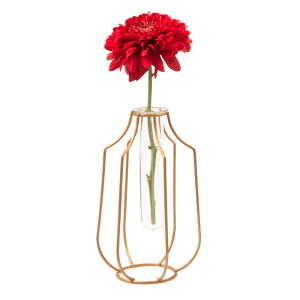 Test Tube Glass Propagation Vase