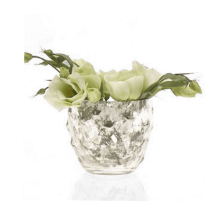 Vie Jolie Glass Vintage Flower Vases