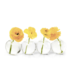 Caterpillar Glass Modern Clear Flower Vase